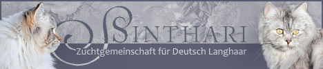 banner_von_sinthari