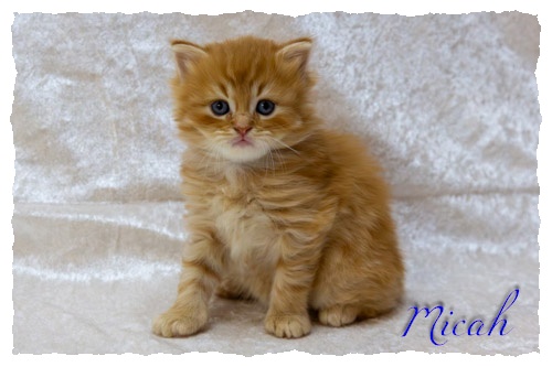 9.11.25_03_Micah-001